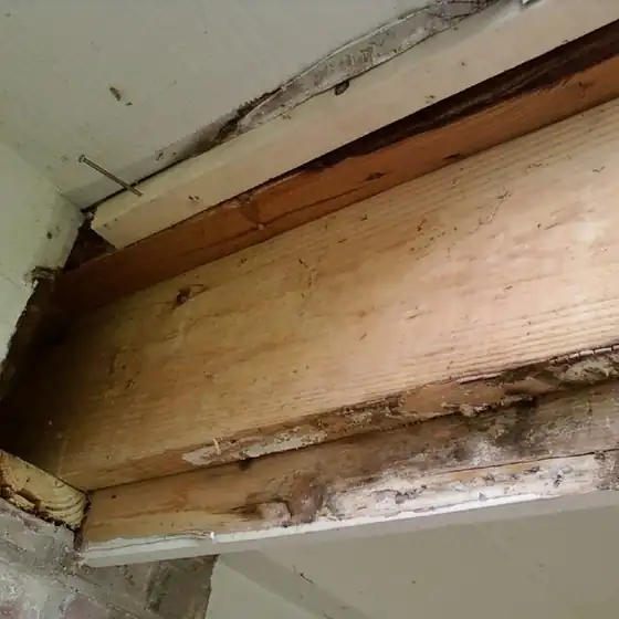 How to Find Wood Rot on Fascia and Porch Headers Before It Spreads